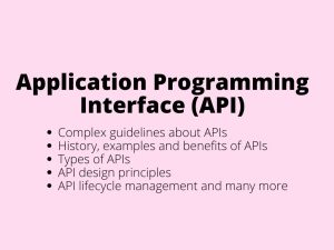 Application Programming Interface (API) - complex guideline about APIs (history, examples, benefits, types of APIs, API design principles, API lifecycle management and many more)